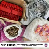 Imagem ilustrativa da imagem Polícia apreende mais de 40 kg de maconha e 100 mil pinos para cocaína