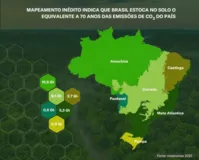 Imagem ilustrativa da imagem Solo da Amazônia armazena metade do carbono no Brasil