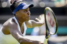 Imagem ilustrativa da imagem Venus Williams recebe convite para participar do torneio de Wimbledon