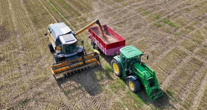 Para Paulo Rabello de Castro, reforma tributária é 
‘um marco histórico’ 
para o agro