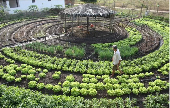 Plano tem como objetivo a sustentabilidade intencional e mensurável