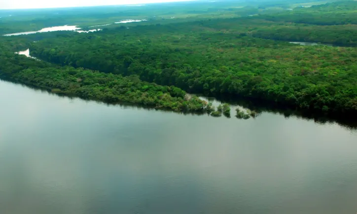 Somos o único país estratégico com escala planetária para ser o protagonista alimentar, energético e ambiental do mundo