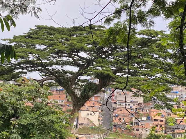 O Jardim Botânico é uma ilha verde no meio da selva de concreto