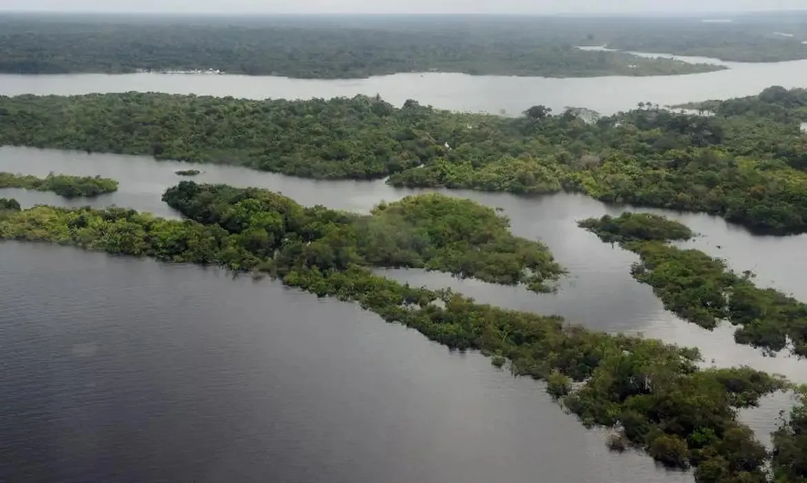 Imagem ilustrativa da imagem A Amazônia respira