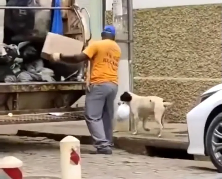 Cachorro ajuda garis em cidade mineira