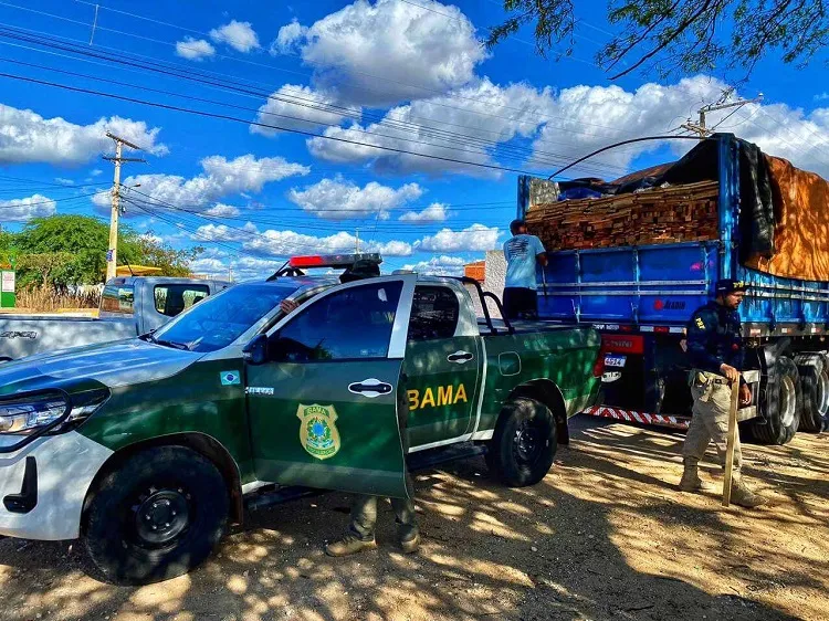 As duas apreensões somam cerca de R$ 20.000,00 em multas ambientais