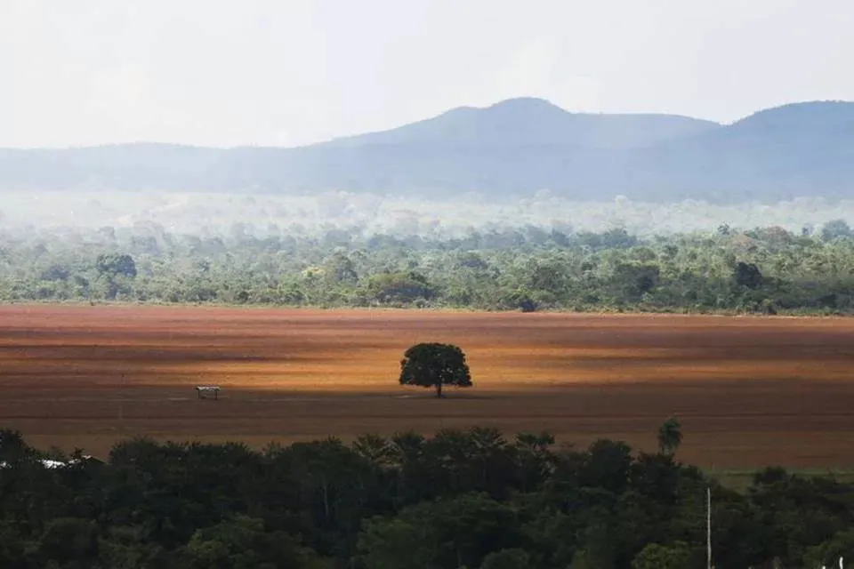 O maior índice de área desmatada foi detectado no Matopiba, fronteira agrícola composta por Maranhão, Tocantins, Piauí e Bahia