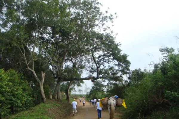 O Caminho de Piripiri tem muita beleza ao longo dos 21 km da trilha