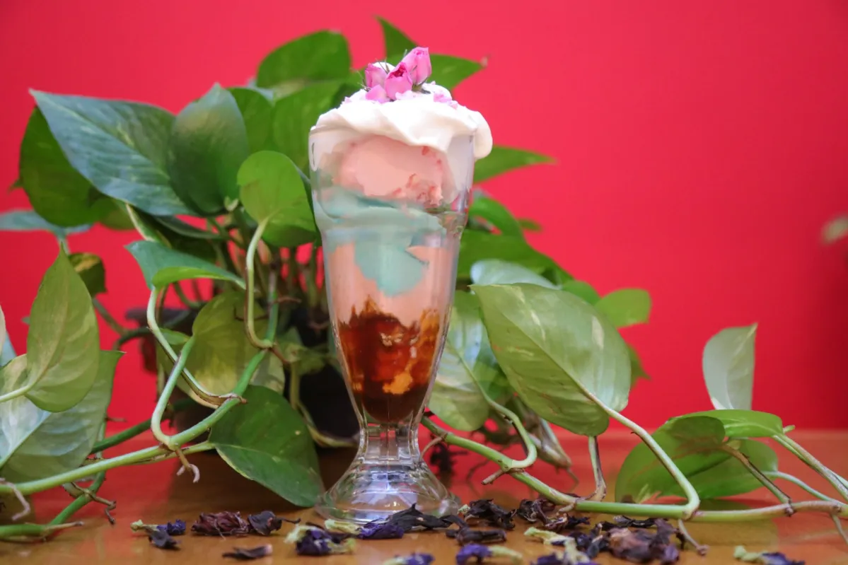 Imagem ilustrativa da imagem Inspirado na primavera, chef cria sorvete de flores PANCS