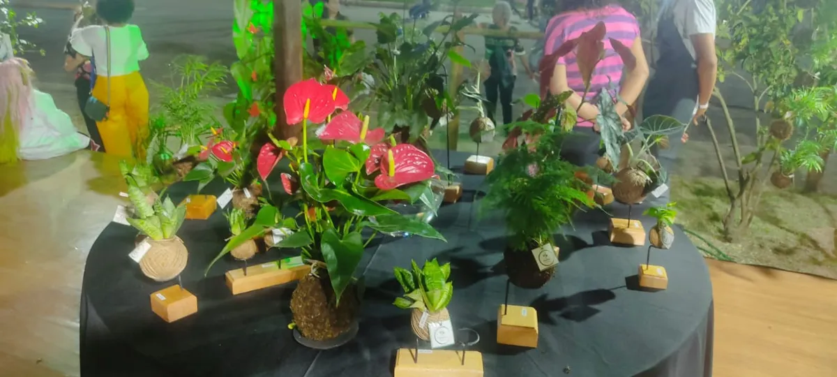 Kokedama é a arte japonesa que transforma plantas em esferas vivas
