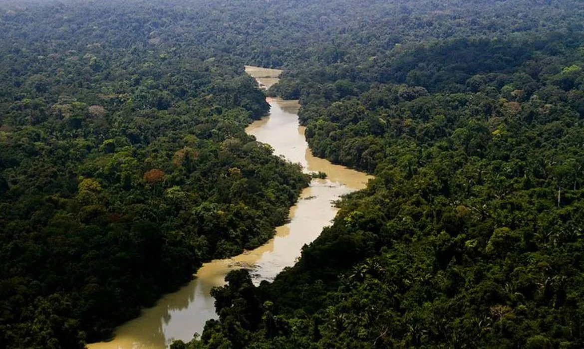 Amazônia Legal  abrange cerca de 59% do território brasileiro