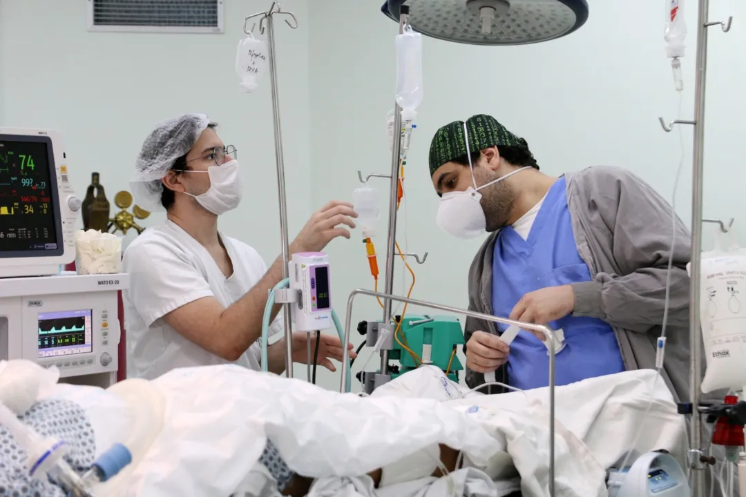 Entre os procedimentos executados estão tratamento cirúrgico de varicocele, plástica mamária feminina não estética e histerectomia