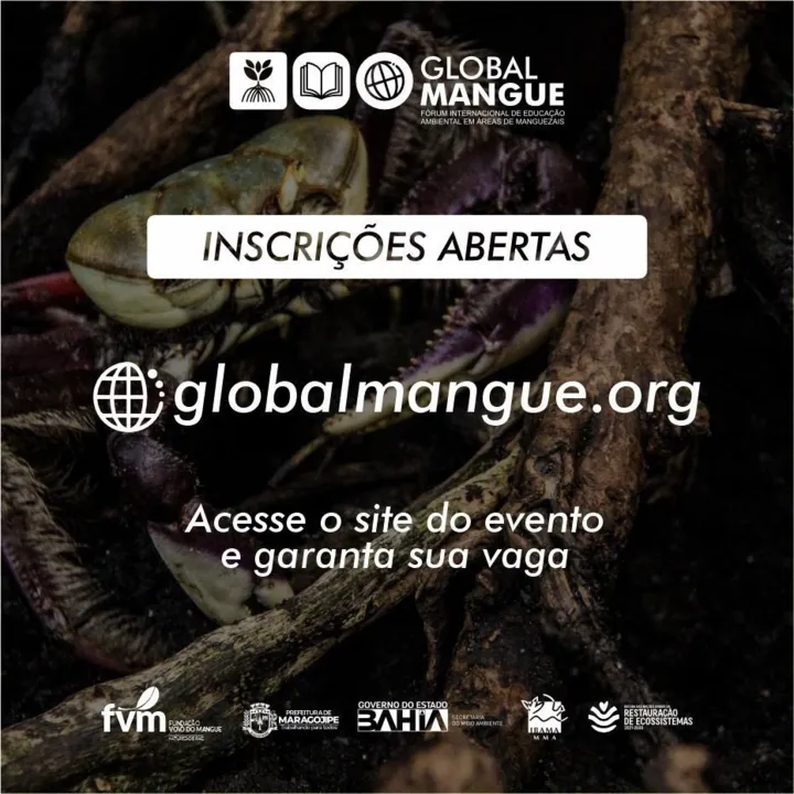 Imagem ilustrativa da imagem Bahia sedia fórum internacional de educação ambiental