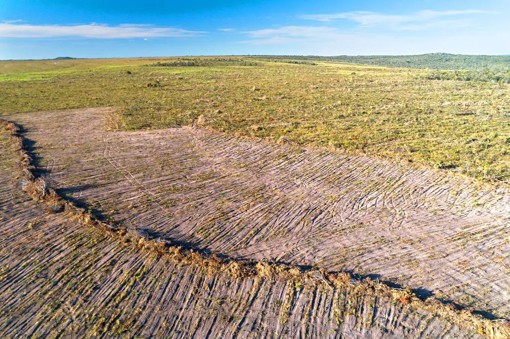 Dados do Deter, sistema do Instituto Nacional de Pesquisas Espaciais (Inpe) apontam que foram perdidos 516,7 km²