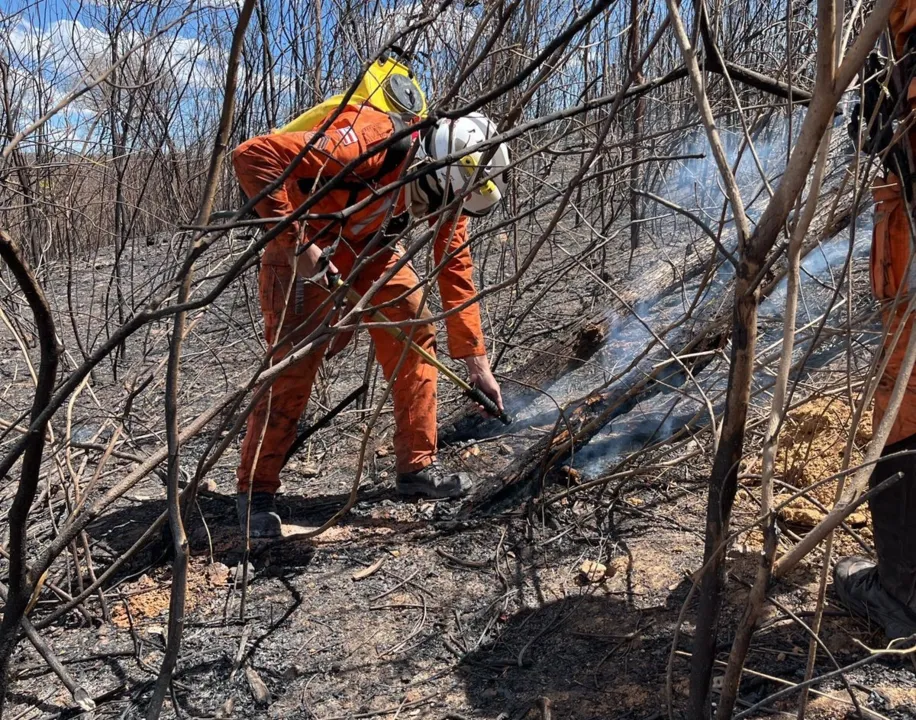 Bombeiros permanecem na região montanhosa de Monte Alegre combatendo focos de incêndio.