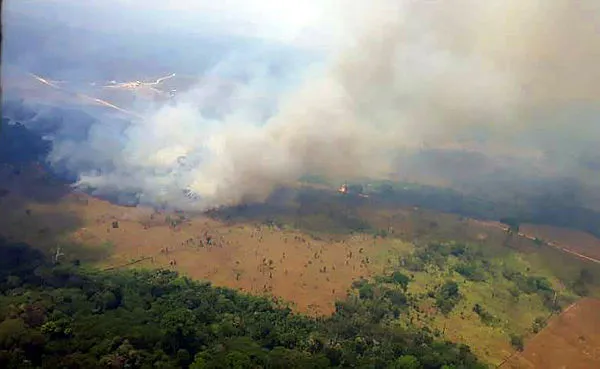 O principal fator de devastação foi a apropriação da agropecuária, e os últimos cinco anos aceleraram o processo de desmate