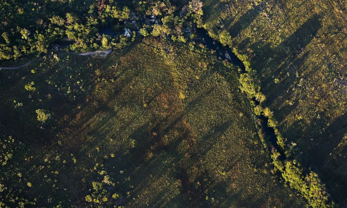 O Cerrado foi desmatado nas cabeceiras