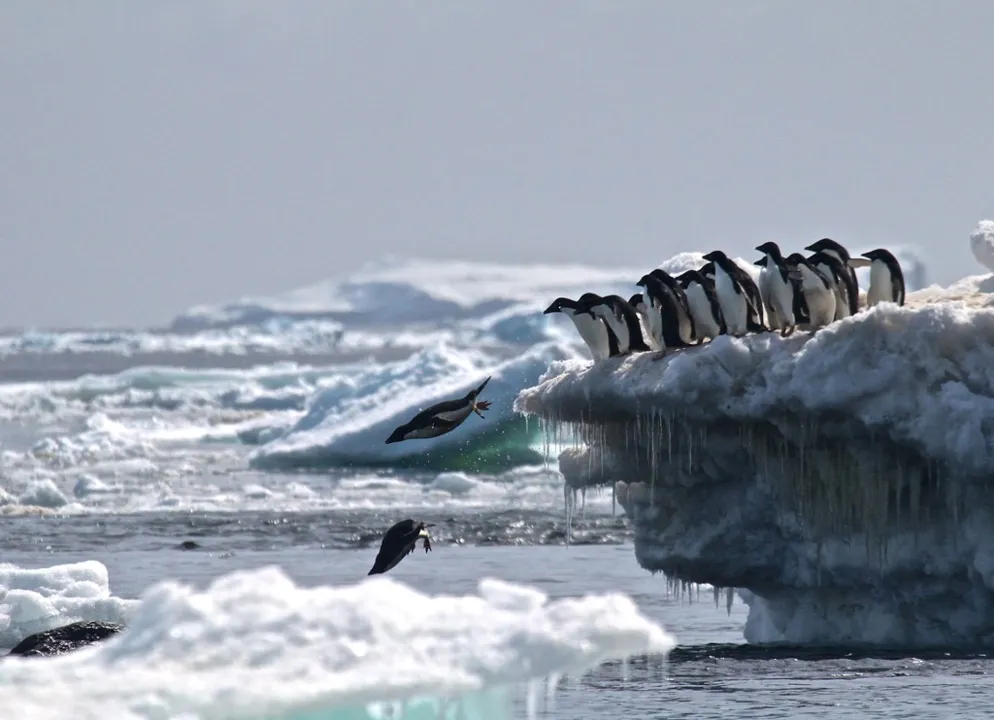 O gelo marinho da Antártica nunca esteve tão reduzido no final do inverno