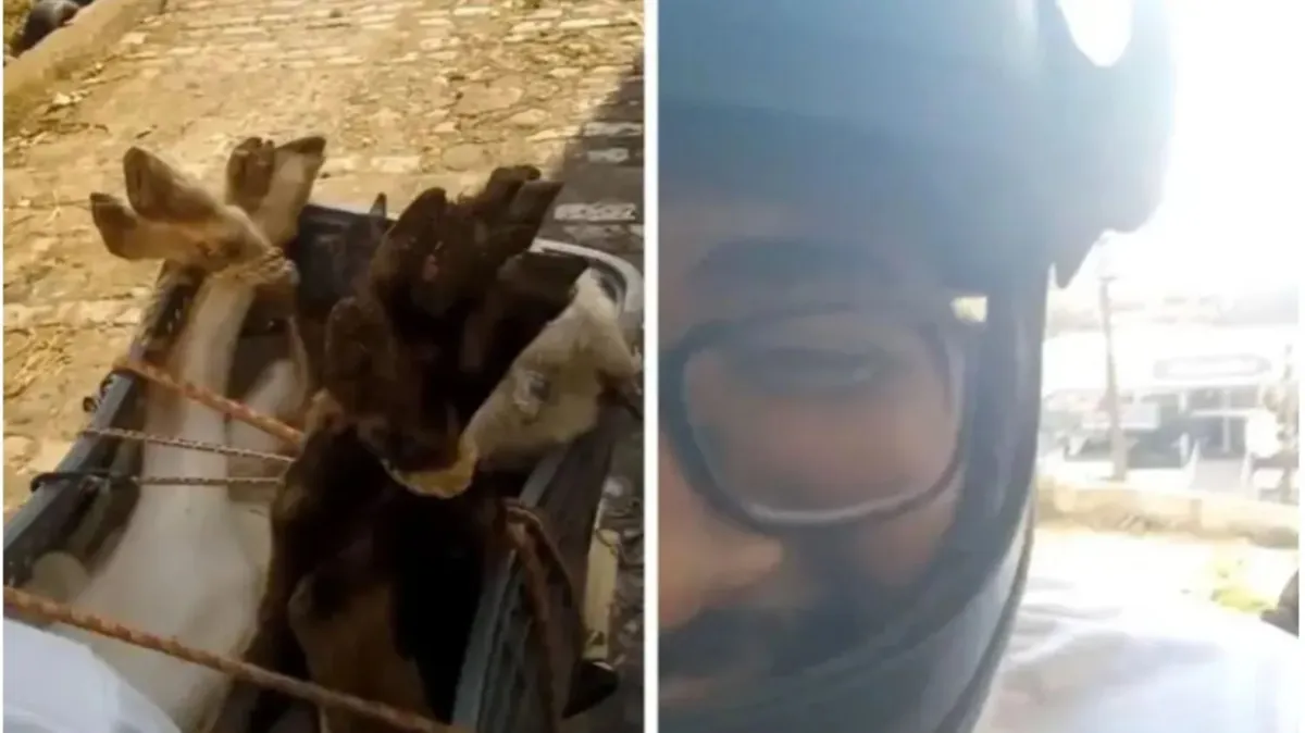 Motorista fez relato de pedido 'diferente' de corrida por aplicativo