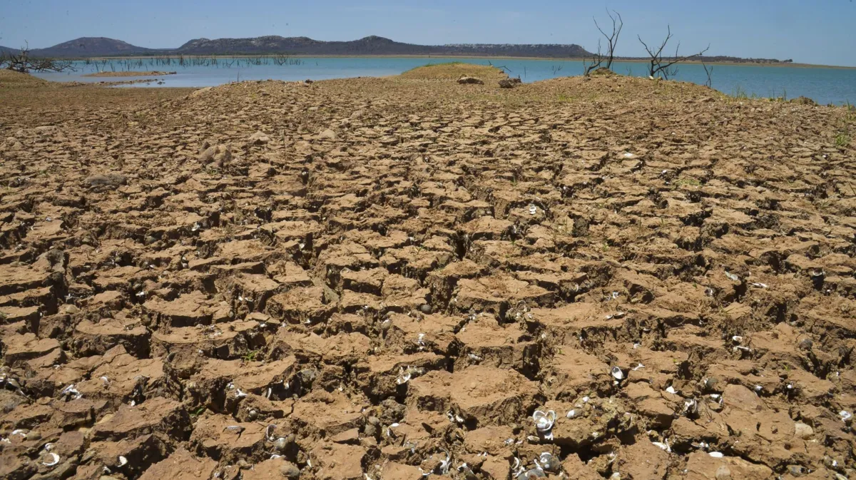 Imagem ilustrativa da imagem Onda de calor: cidades da Bahia registram temperaturas acima dos 40°C