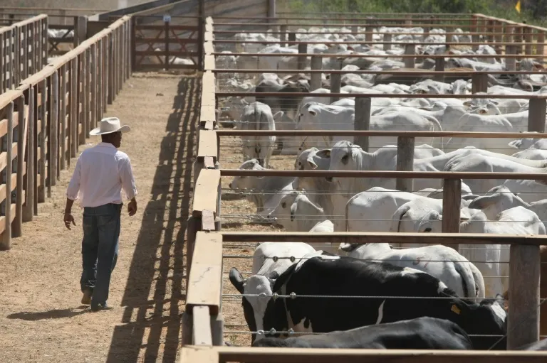 Produto Interno Bruto (PIB) do agronegócio baiano é calculado pela SEI