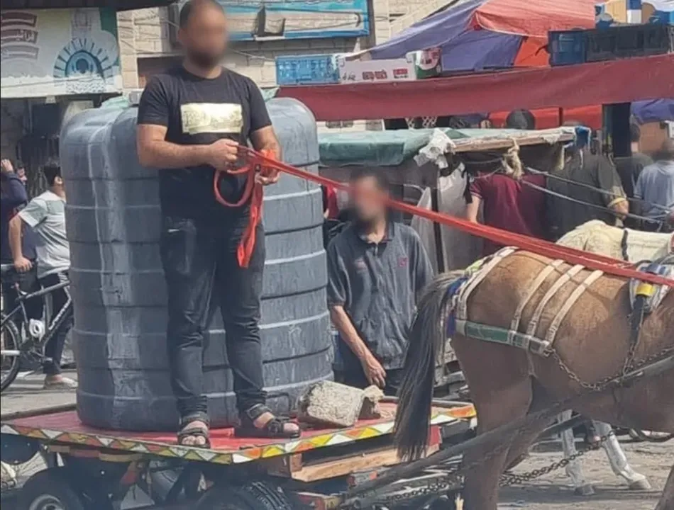 Cavalos estão sendo usados pelos palestinos para transportar tanques de água