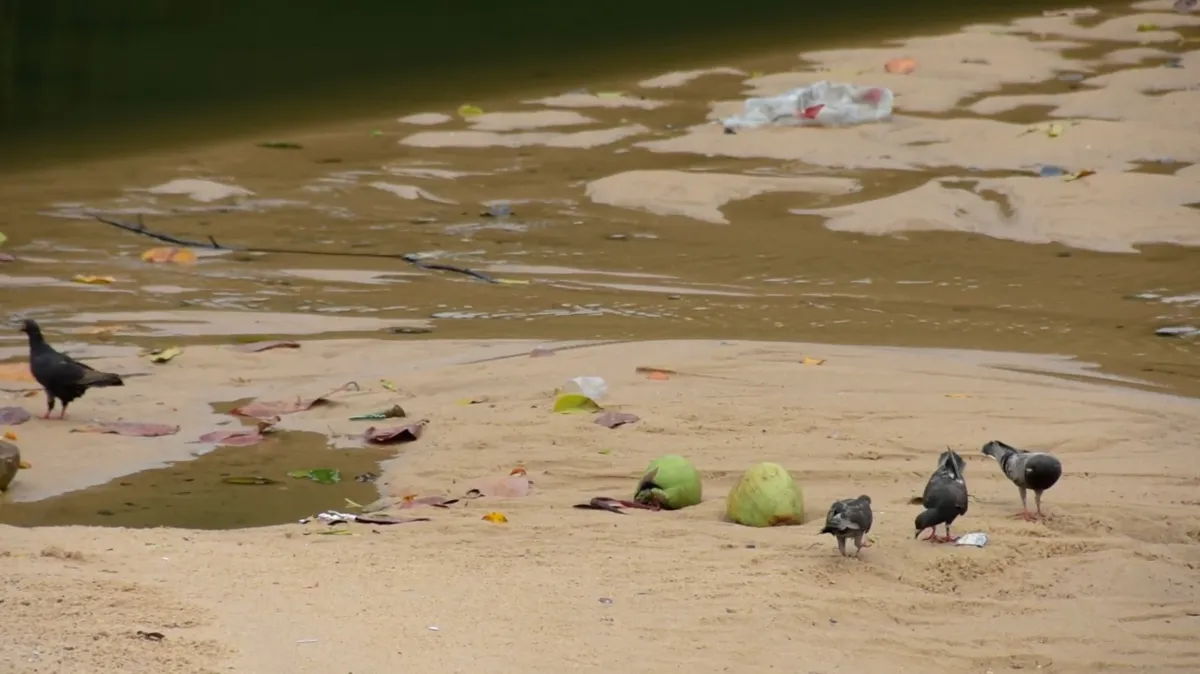 O descarte inadequado de resíduos está entre os fatores de poluição do mar e da contaminação das faixas areia