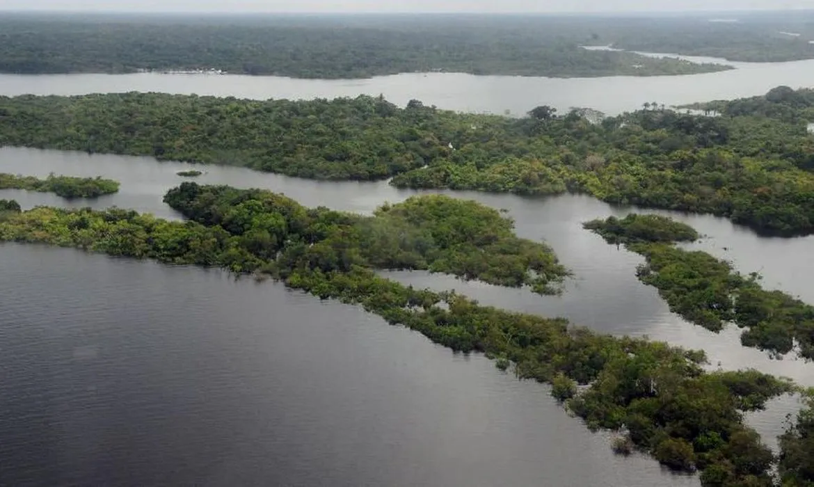 Os papéis são vinculados a compromissos com o meio ambiente