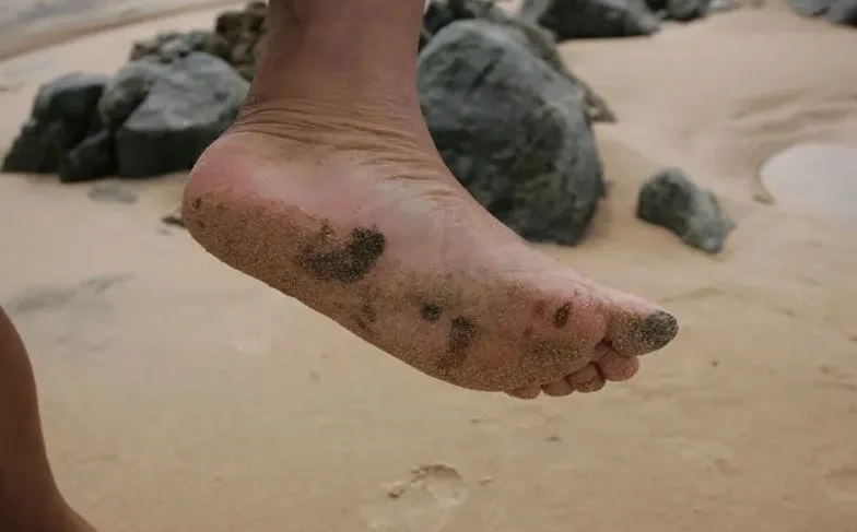 O material voltou a aparecer no dia 10 de setembro em praias de Salvador e de outras cidades baianas