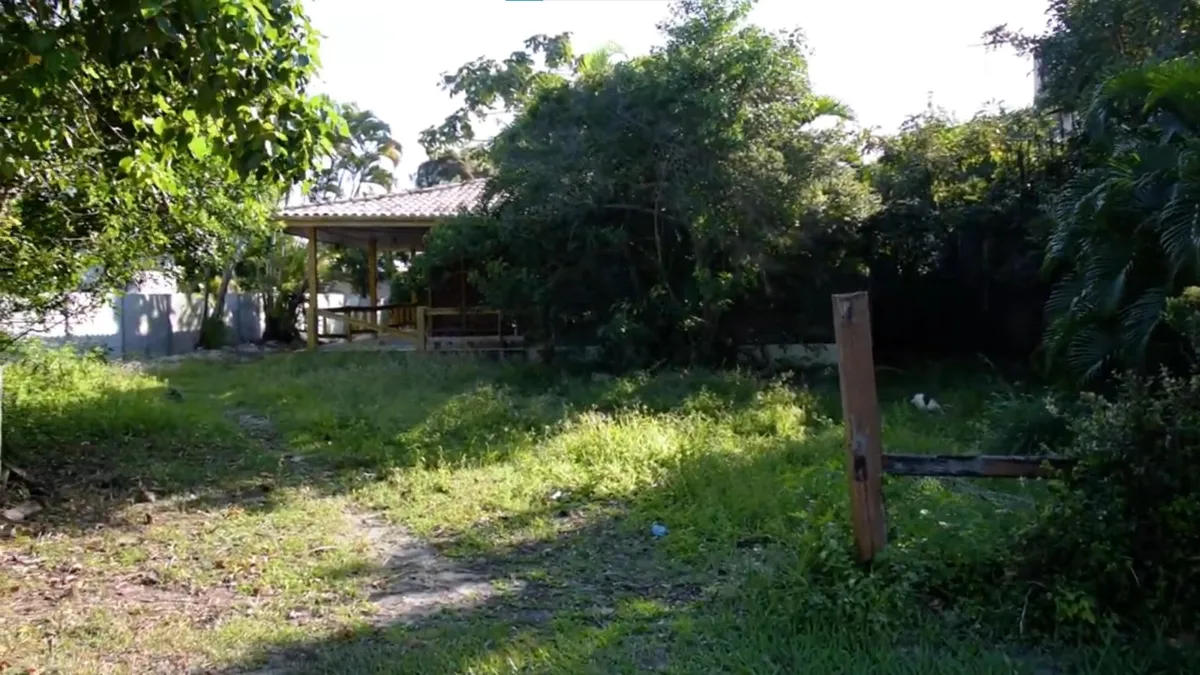 Casa abandonada reflete desinteresse de antigos moradores que hoje têm dificuldade para reaver o investimento