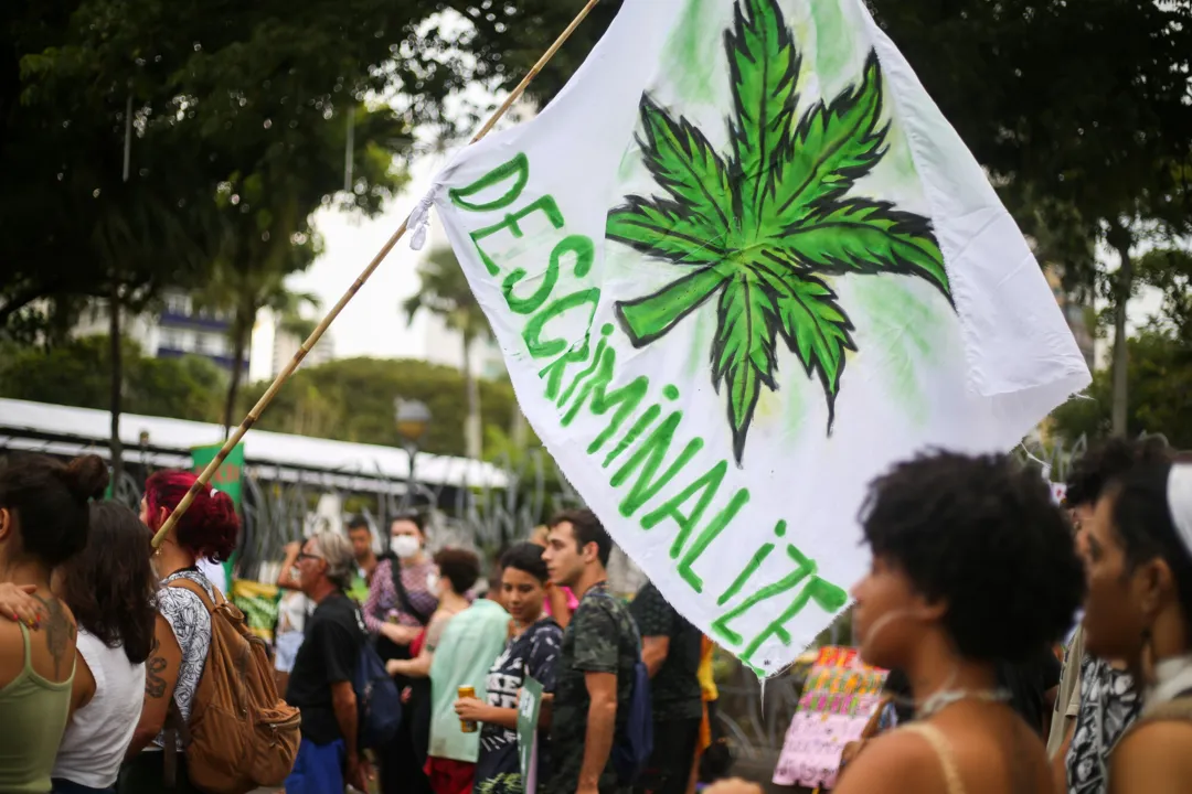 Decisão do STF sobre descriminalização da maconha deve sair até o fim de novembro