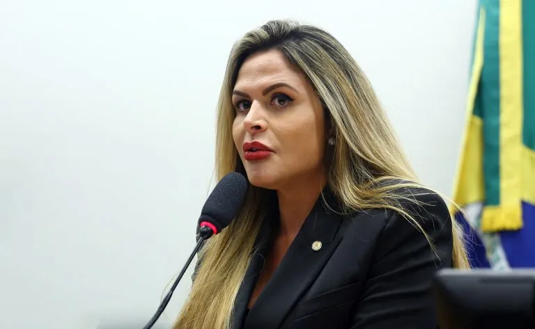 A relatora, deputada Silvye Alves (União-GO)