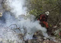 Operação Florestal combate incêndios, na Bahia