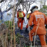 Imagem ilustrativa da imagem Bombeiros  combatem incêndio nas regiões Oeste, Norte e Chapada