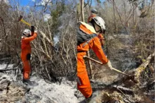 Imagem ilustrativa da imagem Bombeiros seguem atuando contra incêndios florestais no interior