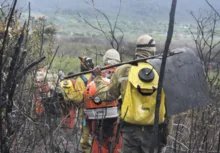 Imagem ilustrativa da imagem Brigadas voluntárias recebem recursos para combate a incêndios