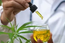 Imagem ilustrativa da imagem Cannabis poderá ser ofertadada em rede do SUS em Eunápolis