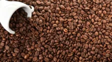 Imagem ilustrativa da imagem Empresa de café é acionada por vender produto impróprio para consumo