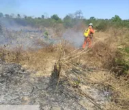 Imagem ilustrativa da imagem Equipe com mais de 200 bombeiros atuam no combate a incêndios na Bahia