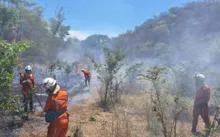 Imagem ilustrativa da imagem Mais de 200 bombeiros continuam no combate a incêndios florestais