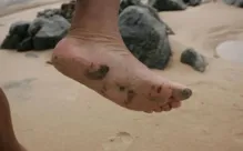 Imagem ilustrativa da imagem Manchas de óleo aparecem em praia de Valença