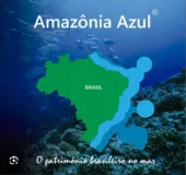 Imagem ilustrativa da imagem O Dia Nacional da Amazônia Azul