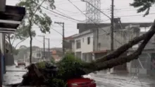 Imagem ilustrativa da imagem São Paulo cancela eventos ao ar livre devido risco de tempestade
