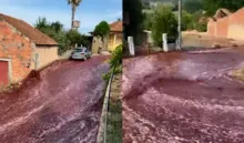 Imagem ilustrativa da imagem Vídeo: 'rio' de vinho inunda ruas de cidade em Portugal