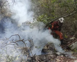 Operação Florestal combate incêndios, na Bahia