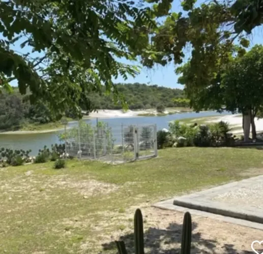 Apesar do abandono, a Lagoa do Abaeté resiste e ainda encanta muita gente