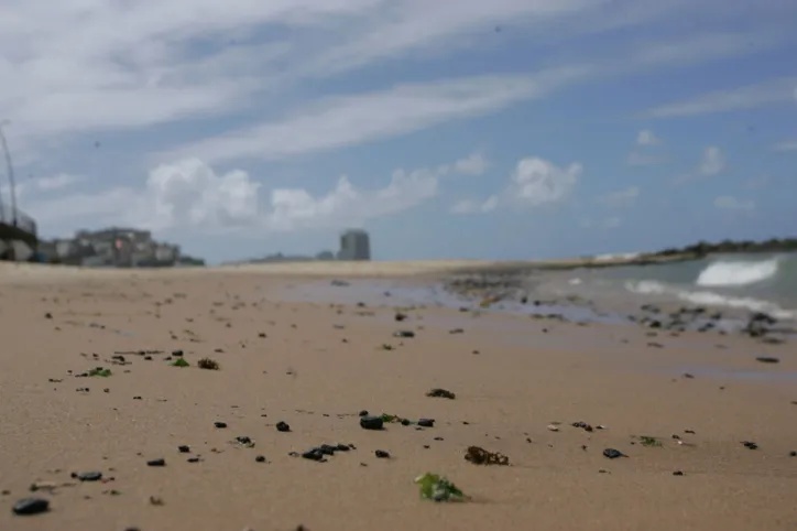 Resíduos de óleo tem aparecido nas praias baianas nas últimas semanas