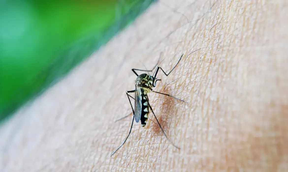 A média nacional aponta 201 casos de dengue por 100 mil habitantes