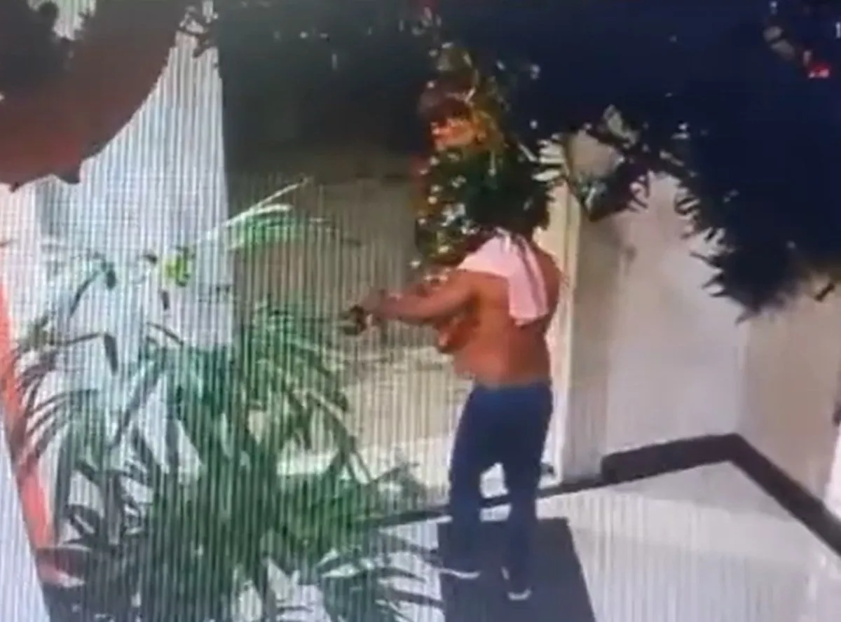 Homem rouba árvore de Natal em condomínio do Rio de Janeiro