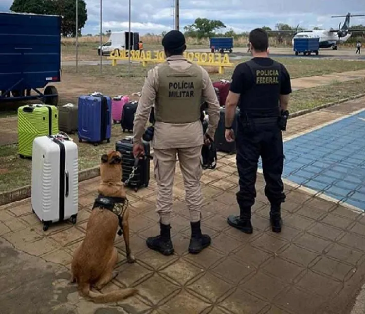 Um cão farejador, especialista na detecção de drogas e armas foi disponibilizado pela Policia Militar